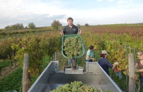 Weingut Mader, © Weingut Mader Weingut Mader, © Weingut Mader