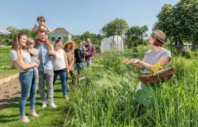 ARCHE NOAH, © Waldviertel Tourismus, Studio Kerschbaum Eine Gruppe von Menschen steht in einem Garten, während eine Frau mit einem Korb Pflanzen zeigt.