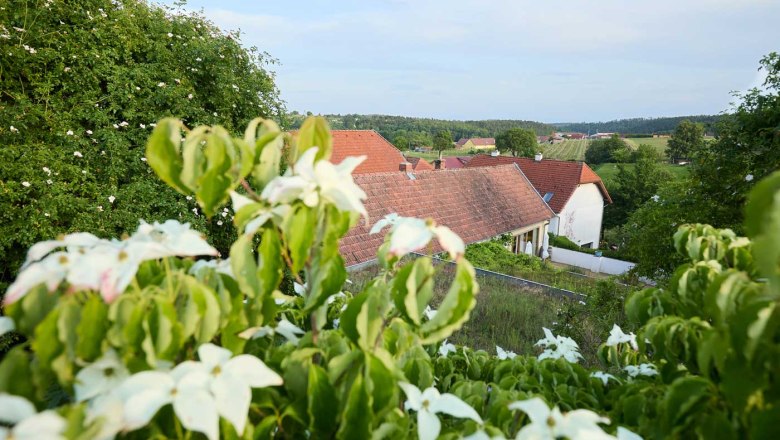 Ausblick, © Rupert Pessl Ausblick, © Rupert Pessl