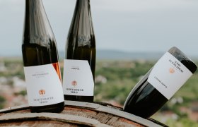 Weingut Fichtenbauer-Mold, © Weingut Fichtenbauer-Mold Weingut Fichtenbauer-Mold, © Weingut Fichtenbauer-Mold