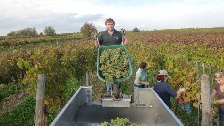 Weingut Mader, © Weingut Mader Weingut Mader, © Weingut Mader