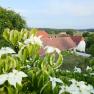 Ausblick, © Rupert Pessl Ausblick, © Rupert Pessl