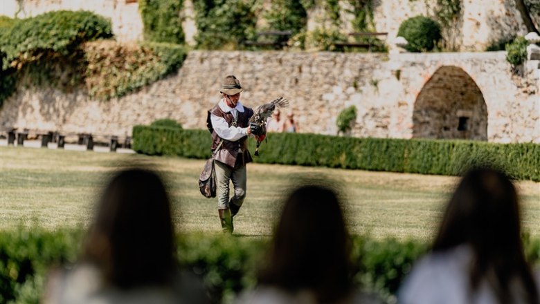 Renaissanceschloss Rosenburg, © Waldviertel Tourismus, Matthias Streibel Ein Falkner mit einem Greifvogel auf dem Arm vor einer alten Steinmauer im Schlossgarten.