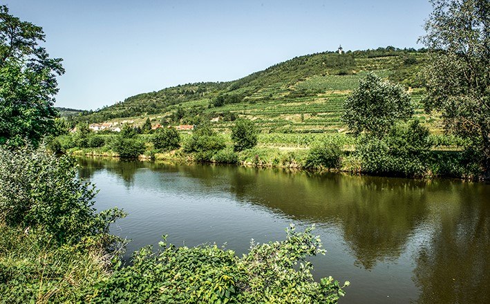Fischen am Kamp, © POV, Robert Herbst Fischen am Kamp, © POV, Robert Herbst