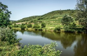 Fischen am Kamp, © POV, Robert Herbst Fischen am Kamp, © POV, Robert Herbst