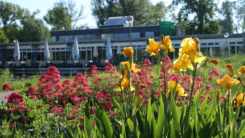 Restaurant "Die Gärtnerei", © "Natur im Garten", Anja Buchinger Blumenbeet mit gelben und roten Blumen vor einem modernen Gebäude mit Terrasse.