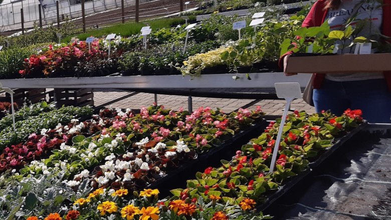 Lehrgärtnerei Haindorf, © Gartenbauschule Langenlois Lehrgärtnerei Haindorf, © Gartenbauschule Langenlois