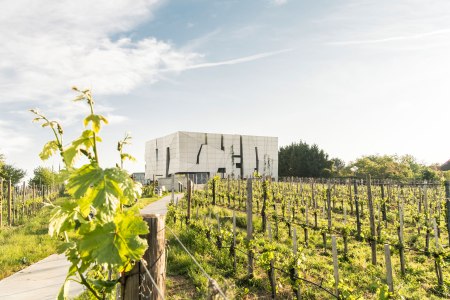 Steininger LOISIUM WeinWelt, © POV Robert Herbst Steininger LOISIUM WeinWelt, © POV Robert Herbst