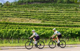 Radfahren Kremstal, © Mara Hohla Ein Pärchen fährt mit ihren Rennrädern auf einer Straße unterhalb der Ruine Senftenberg.