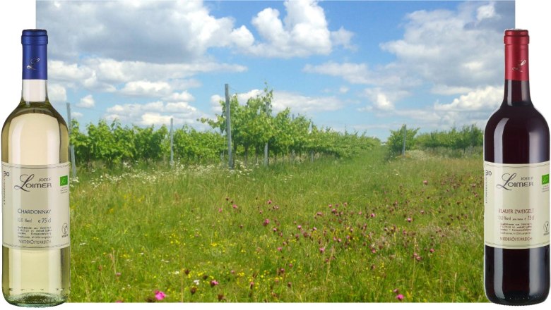 sommer_3, © Josef Loimer sommer_3, © Josef Loimer