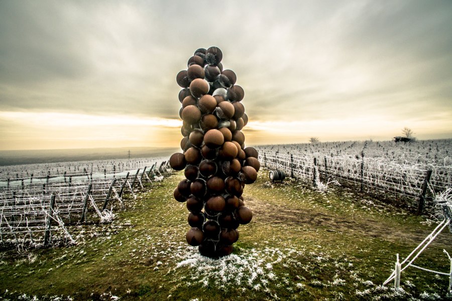 Raureif in der Riede K&auml;ferberg, &copy; POV Robert Herbst