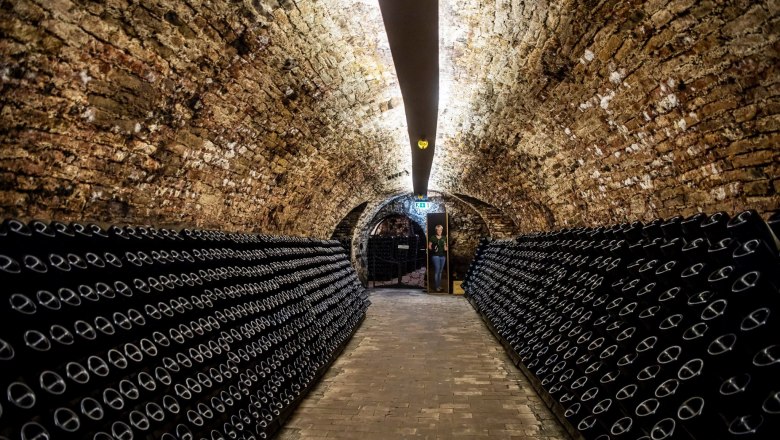 Steininger LOISIUM WeinWelt, &copy; Steininger LOISIUM WeinWelt