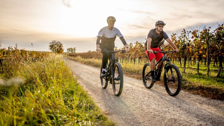 Mountainbiken in Langenlois, © POV Robert Herbst