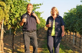 Weinbau Parisch, &copy; Weinbau Parisch