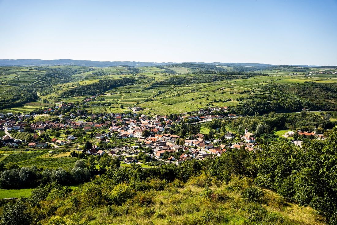 Wanderweg zur Kamptalwarte am Heiligenstein