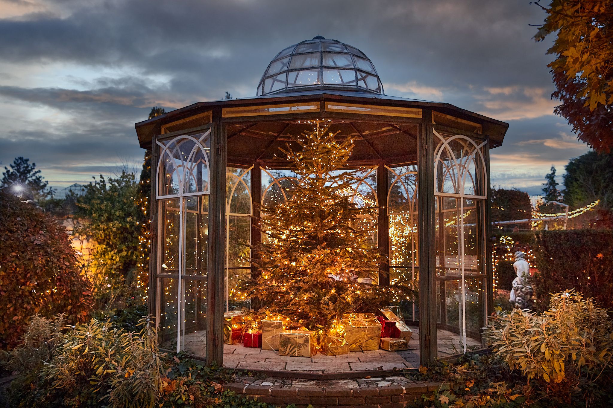 Beleuchteter Weihnachtsbaum mit Geschenken in einem gläsernen Pavillon.