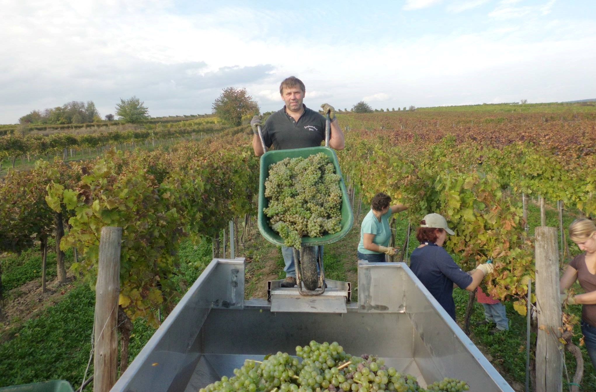 Weingut Mader