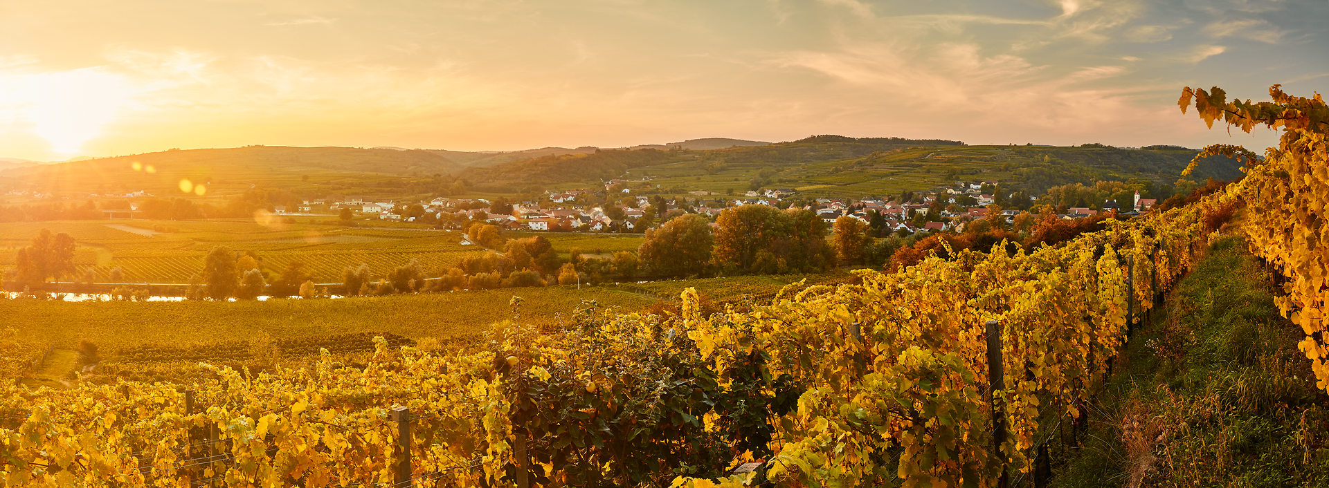 Die sanften Hügel des Kamptals sind in warmes Licht getaucht, während die Weinreben in voller Pracht erblühen. Ein malerisches Dorf schmiegt sich an die Ufer des ruhigen Flusses, umgeben von der idyllischen Landschaft, die zum Verweilen und Entdecken einlädt.