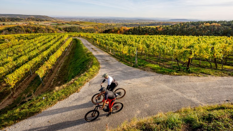 Langenlois: Bikeparadies im Kamptal, © POV Robert Herbst