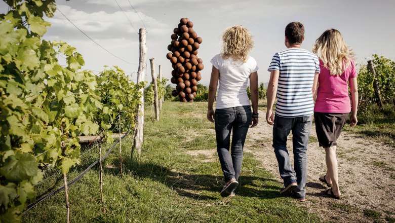 WEINWEG Langenlois, © POV Robert Herbst