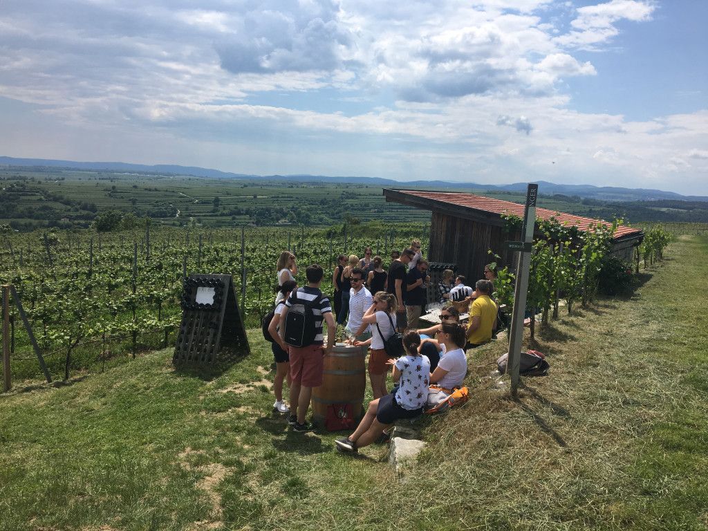 Weingartenschank am WEINWEG Langenlois