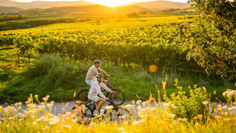 Radfahren in Langenlois, © POV Robert Herbst