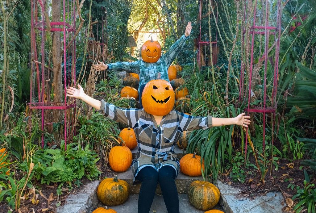 Halloween im Garten