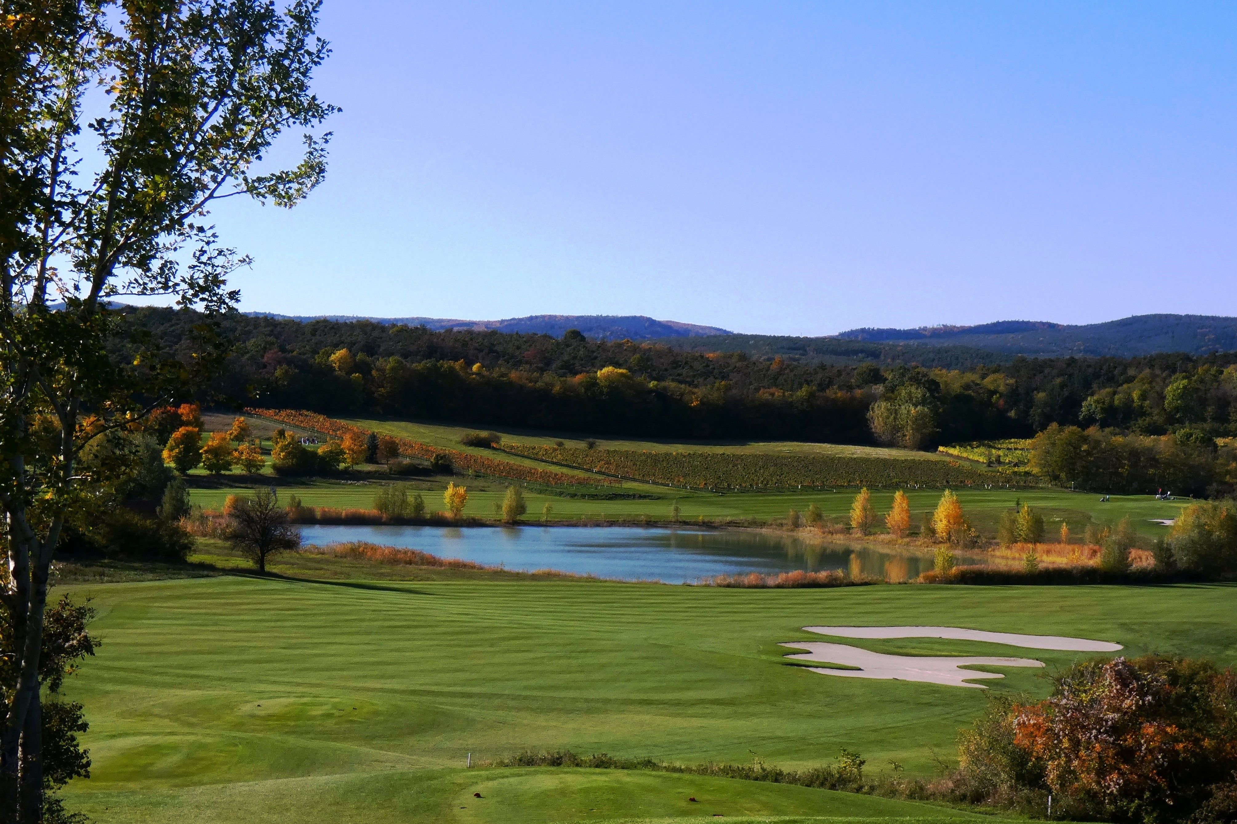 Sicht auf einen See in mitten von ein paar Bäumen auf einem Golfplatz. 