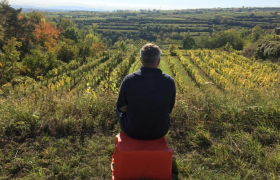 Eine Person sitzt auf einem orangefarbenen Kasten und blickt auf ein weites, terrassiertes Weinberggebiet.