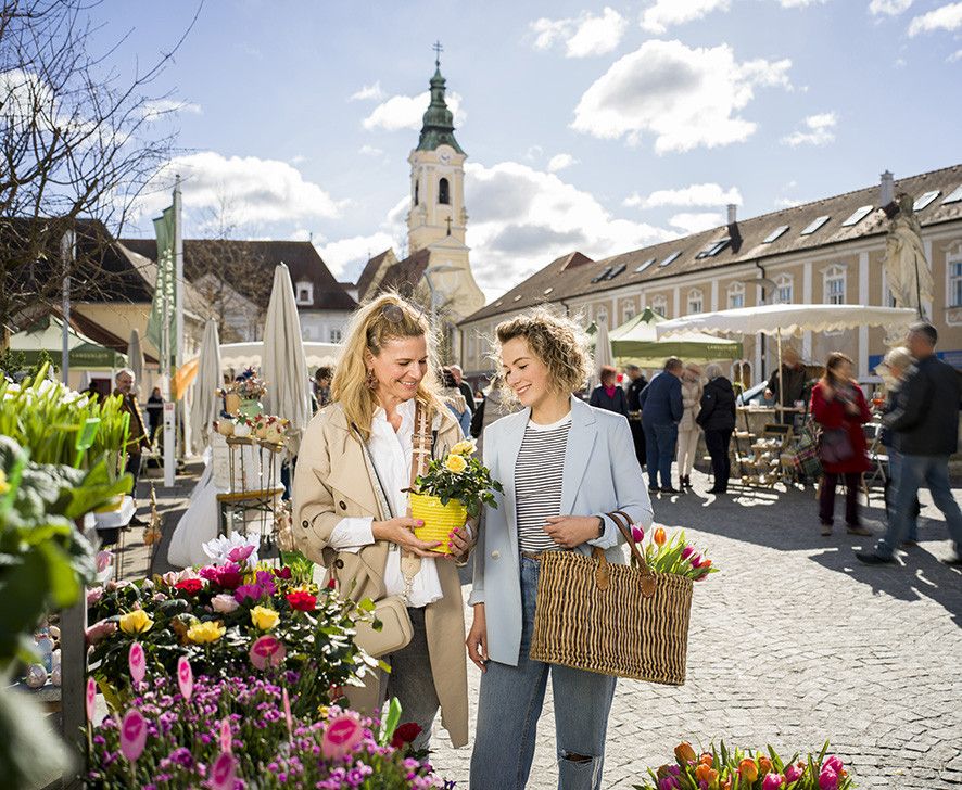 Genussmarkt am Holzplatz