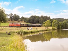 Reblausexpress, &copy; NB, Schwarz-K&ouml;nig