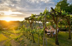 Abendstimmung beim Heurigen, © Niederösterreich-Werbung/Robert Herbst