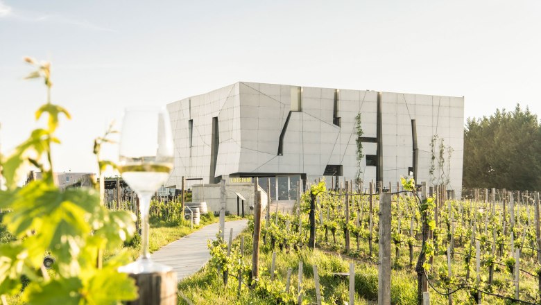 Steininger LOISIUM WeinWelt, &copy; POV Robert Herbst
