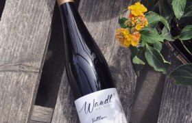 Weinbau Manuela Wandl, &copy; Weinbau Manuela Wandl