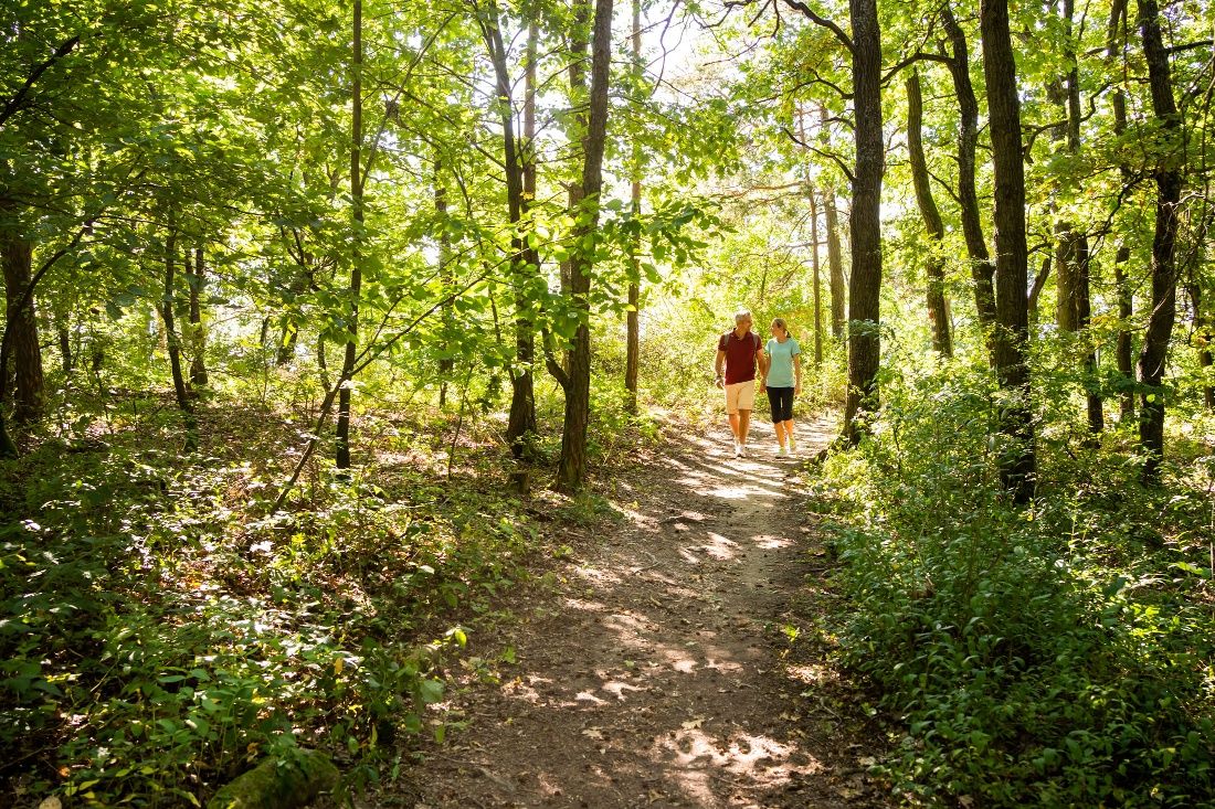 Wald- und Weinweg