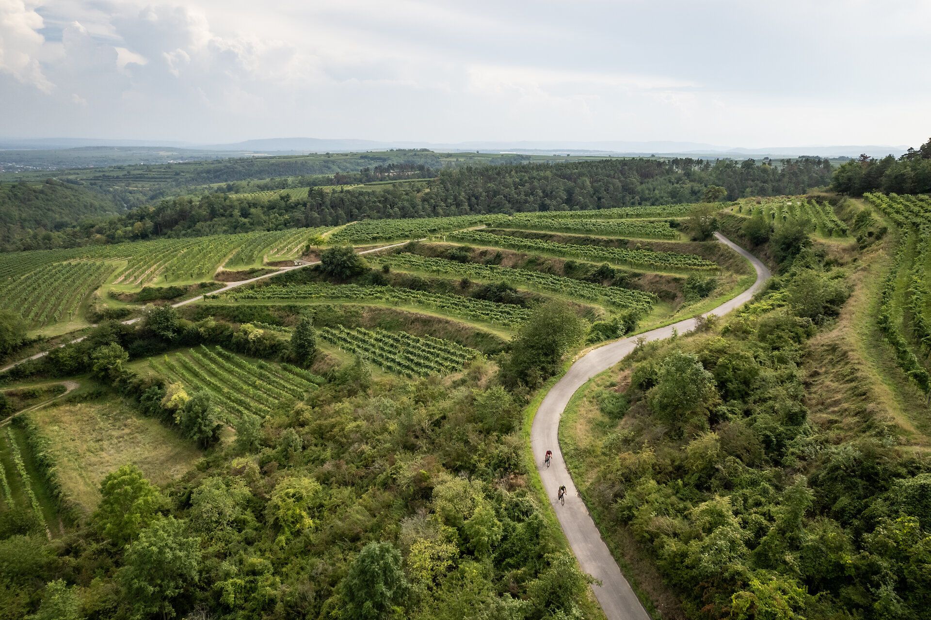Sanfte Hügel und endlose Weinreben laden zu einer unvergesslichen Radtour ein. Die frische Luft und die malerische Landschaft schaffen eine perfekte Kulisse für Genuss und Erholung. Hier, wo die Natur in voller Blüte steht, wird jeder Moment zum Erlebnis.