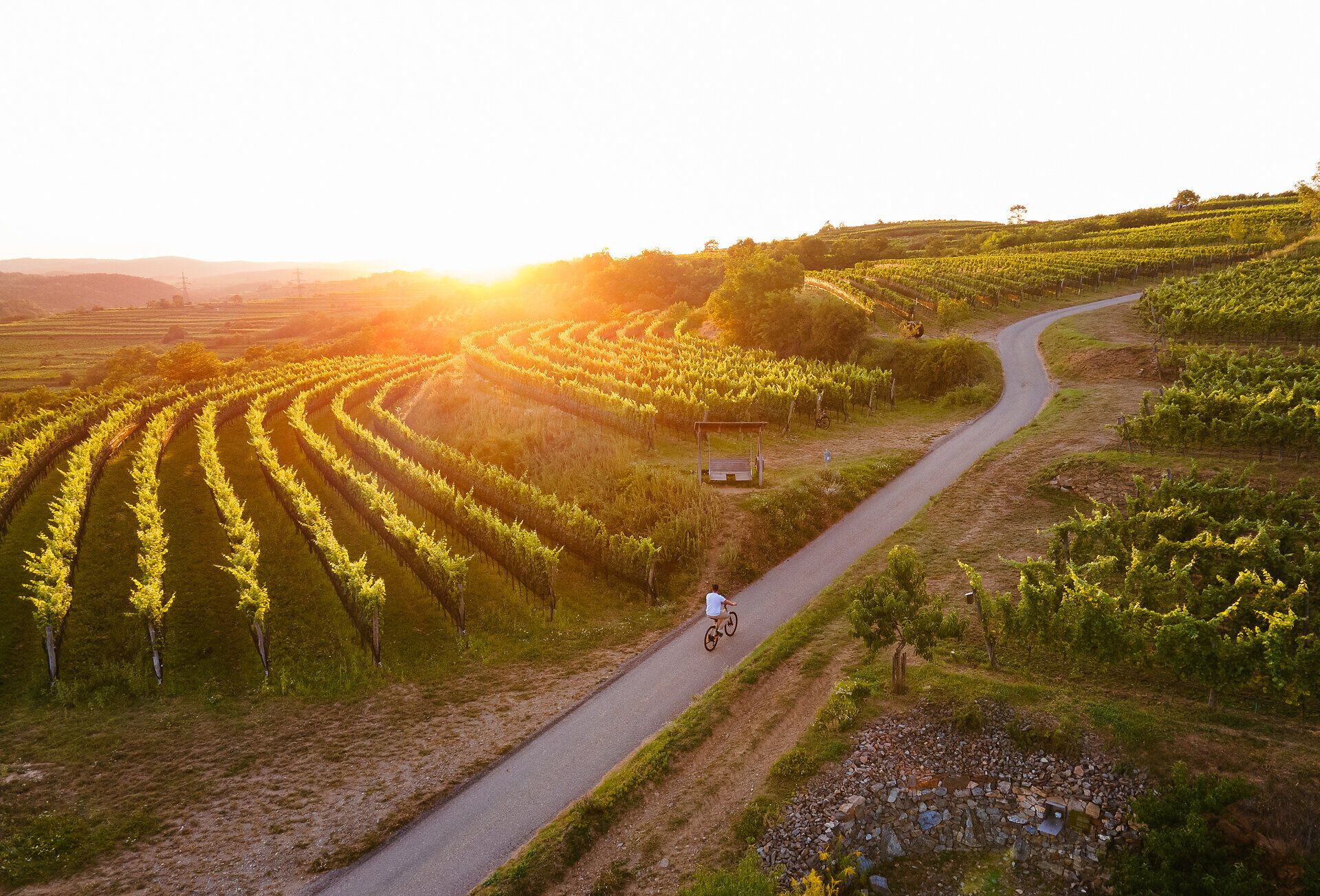 Die sanften Hügel des Waldviertels laden zu einer unvergesslichen Radtour ein, während die goldene Abendsonne die Weinreben in warmes Licht taucht. Hier, wo die Natur in voller Blüte steht, können Radfahrer die frische Luft und die malerische Landschaft genießen.