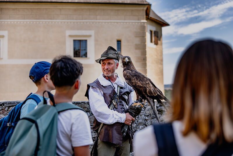 Ein Falkner zeigt einem jungen Publikum einen Adler vor einem Renaissanceschloss.