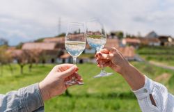 Inmitten der sanften Hügel des Kamptals stoßen zwei Freunde mit Gläsern auf die Schönheit des Weinfrühlings an. Die strahlende Sonne und der weite Blick über die Weinreben schaffen eine unvergessliche Atmosphäre der Freude und des Genusses. Hier wird jeder Schluck zum Erlebnis, während die Natur in voller Blüte steht.