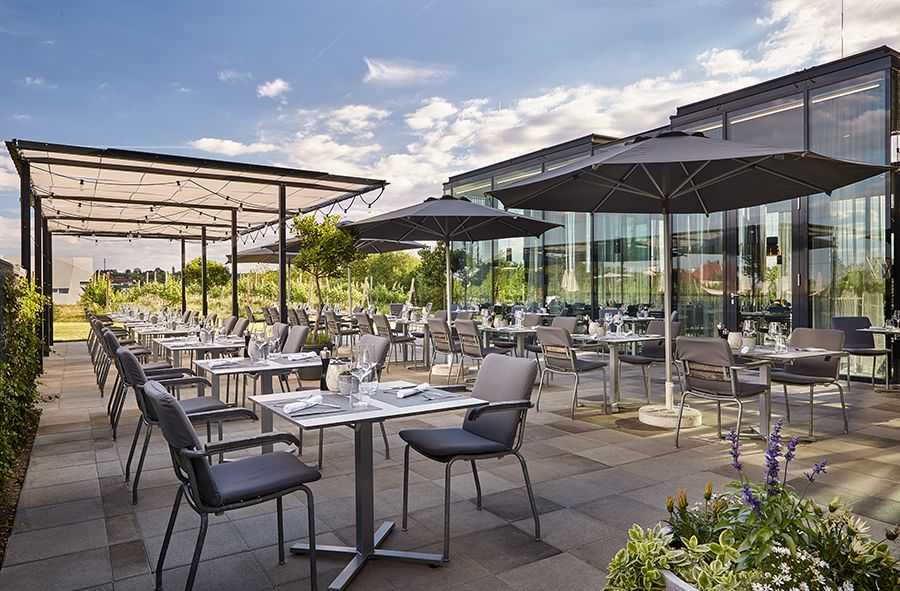 LOISIUM - Restaurant Vineyard