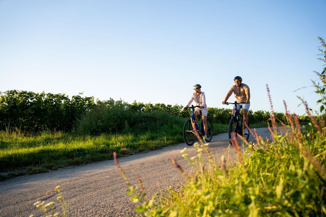 Radfahren im Kamptal