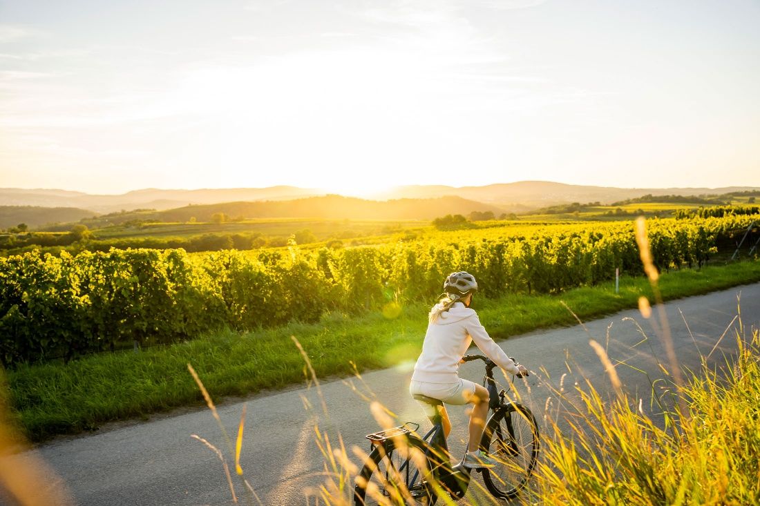 Radfahren im Kamptal