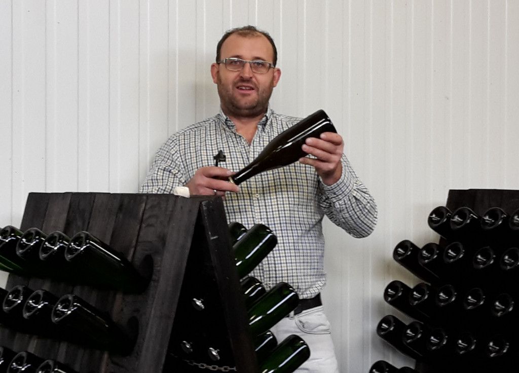 Weinschaun beim Winzer im Weingut Manfred Gruber