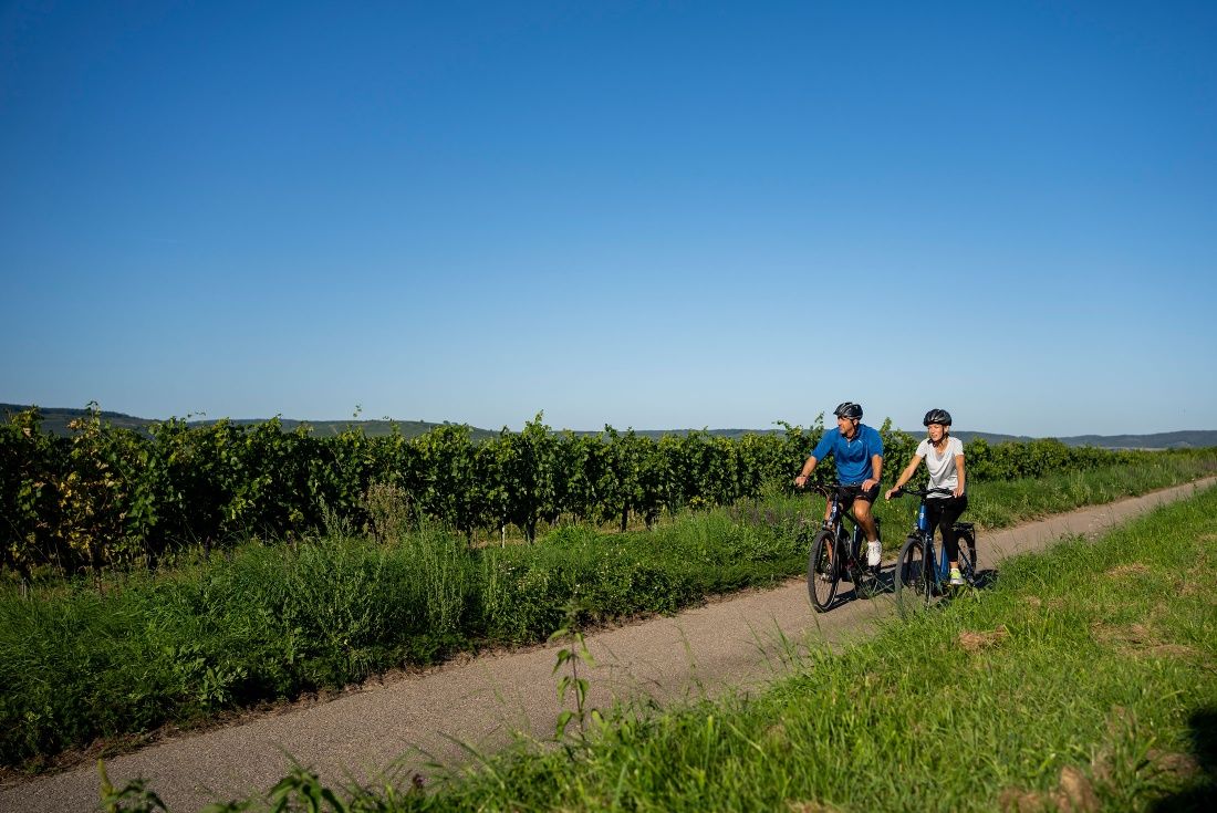 Radfahren im Kamptal