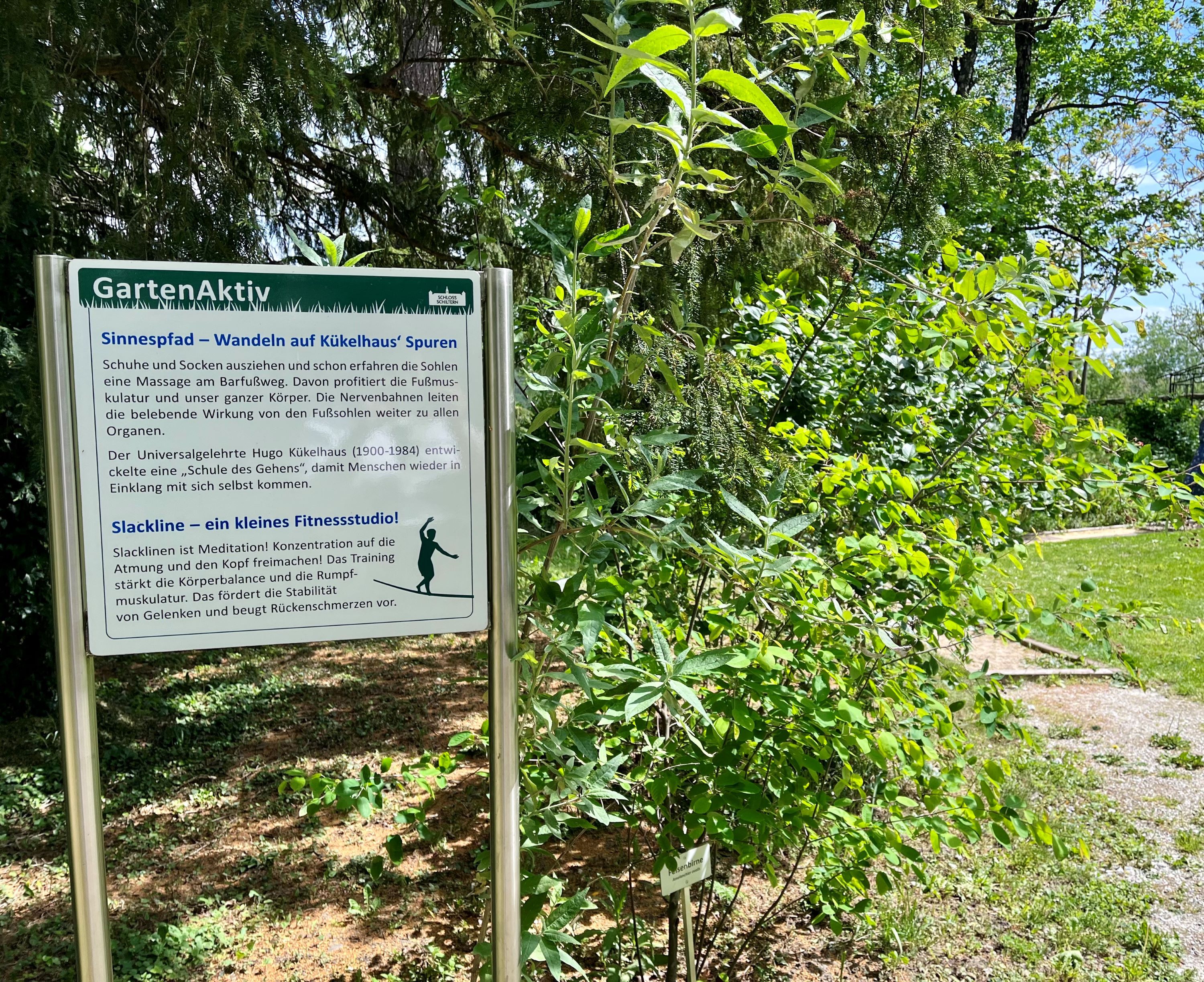 Ein Schild im Grünen mit Informationen über einen Sinnespfad und Slackline.