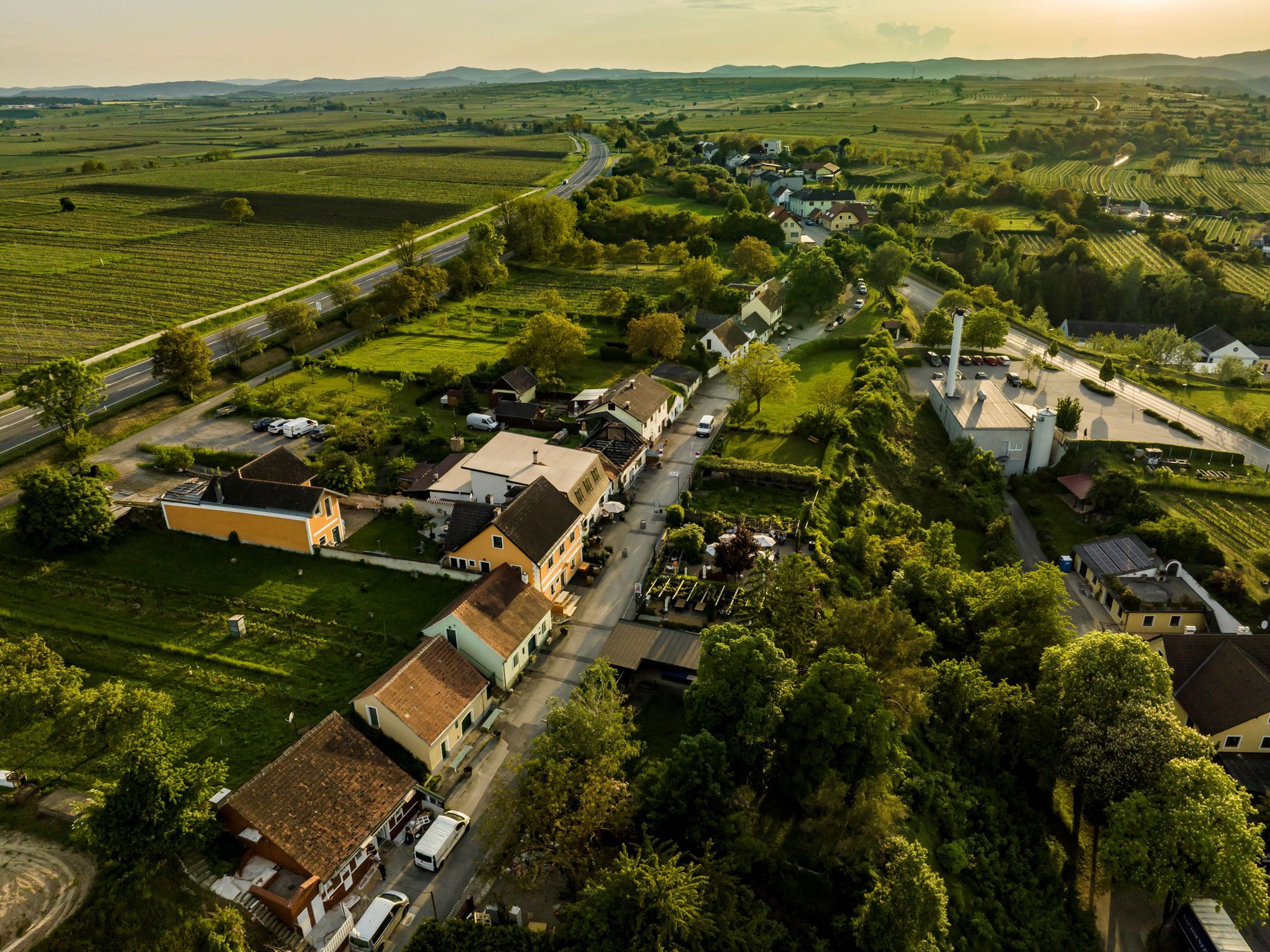 Eine Kellergasse umgeben von Weinbergen.
