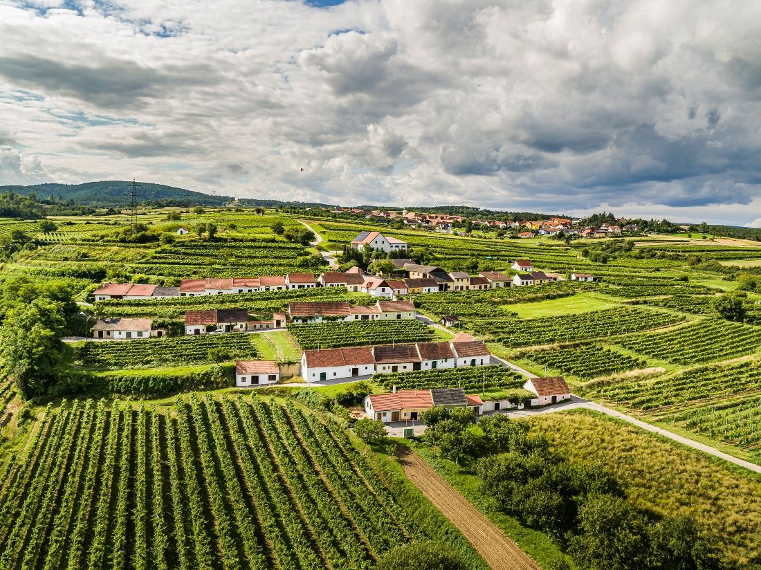 Wald- und Weinweg