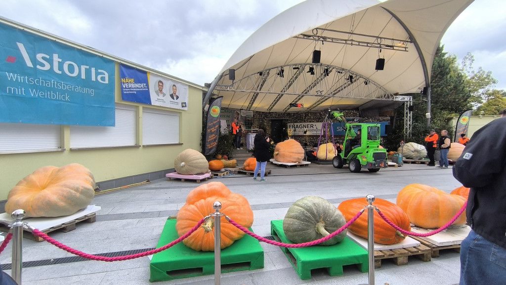 Staatsmeisterschaft der Riesenkürbisse  