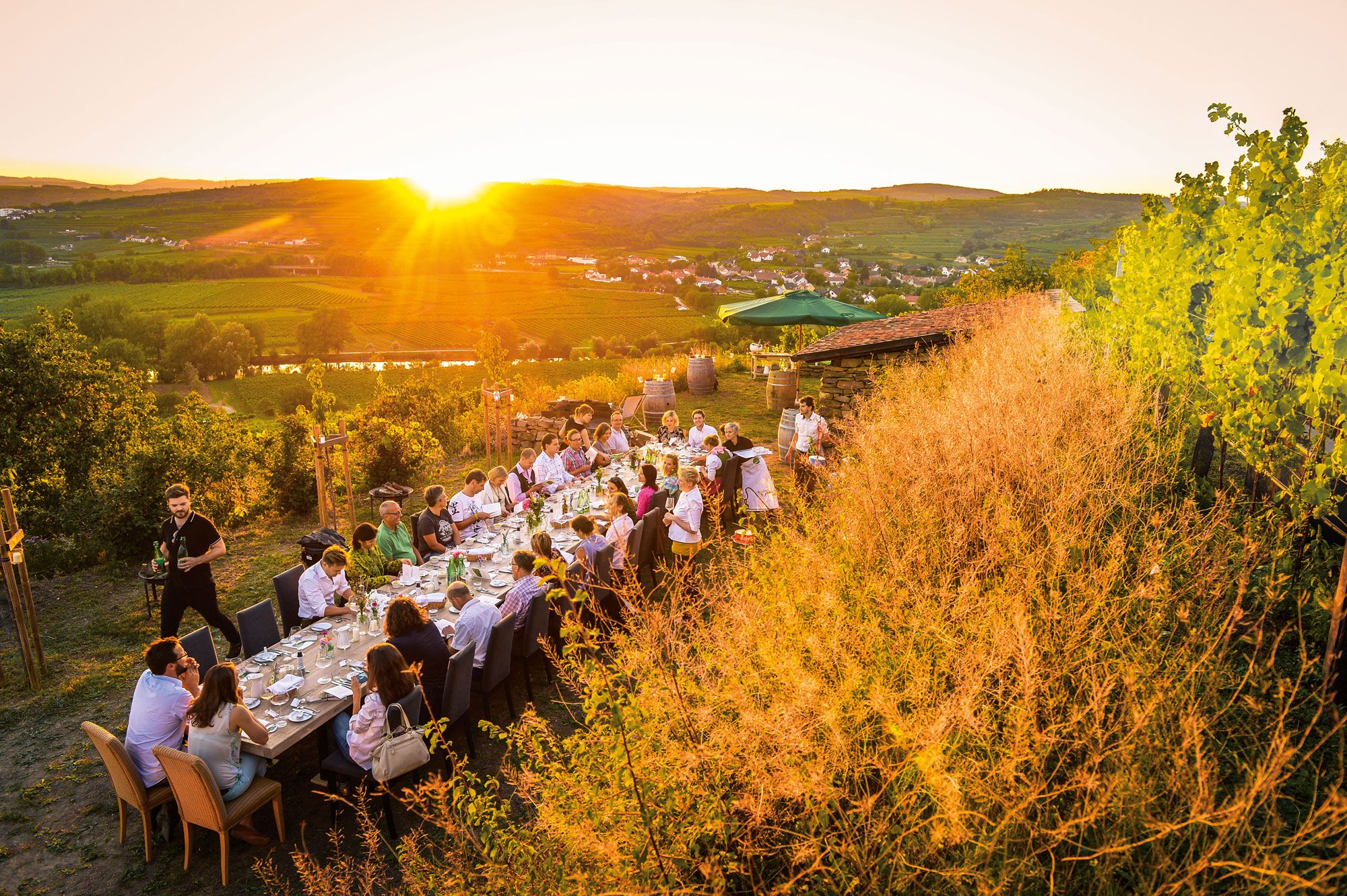 Eine Tafel auf einem Weinberg. Dabei sind viele Menschen mit Blick auf die Donau.
