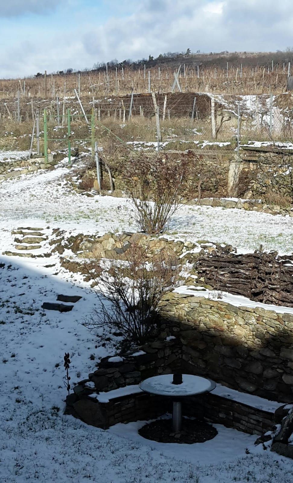 9b-wagenradplatzerl-winter